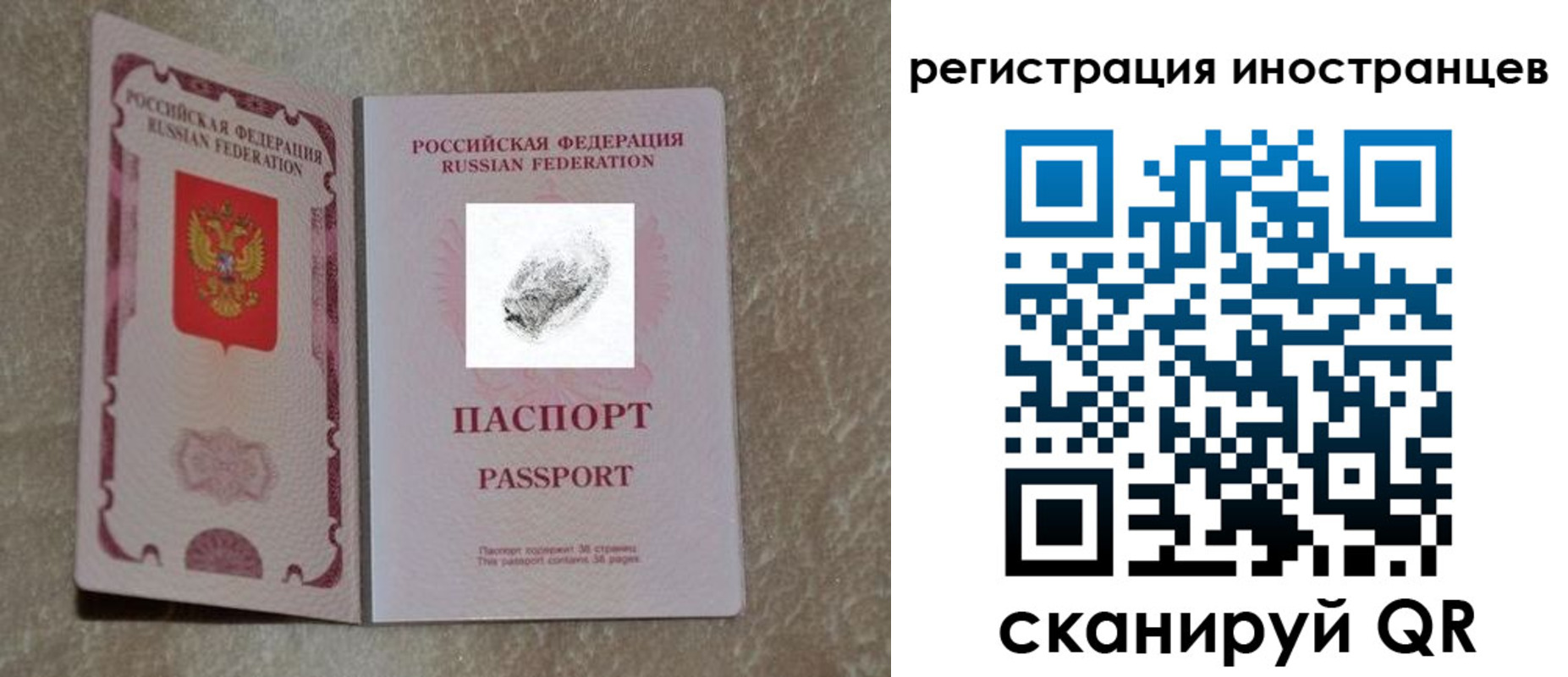 прописка законно в Бронницах
